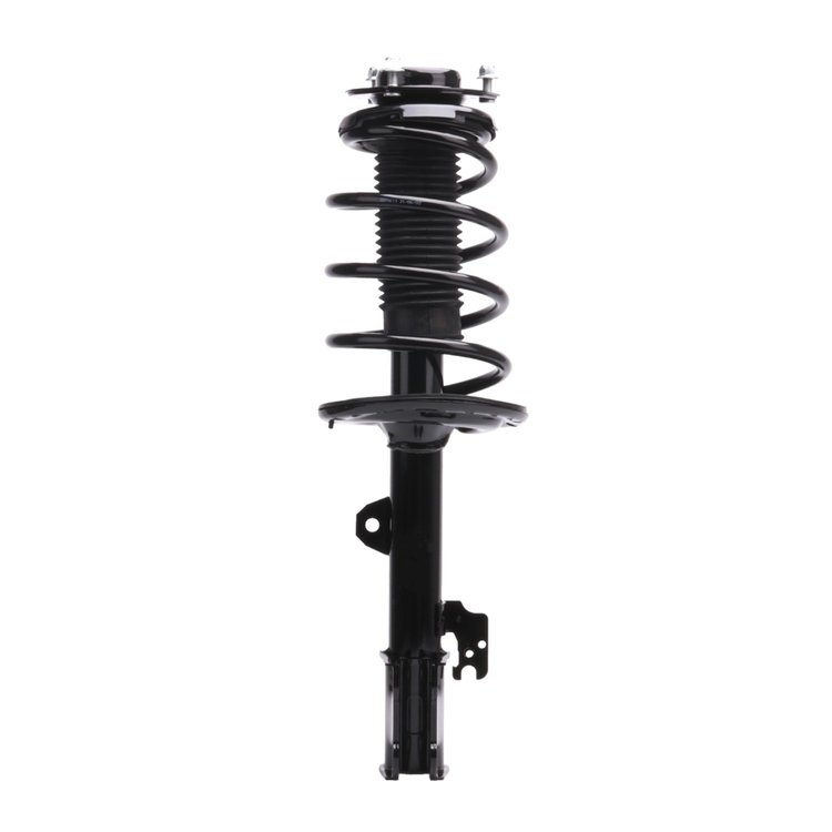 Strut Assembly