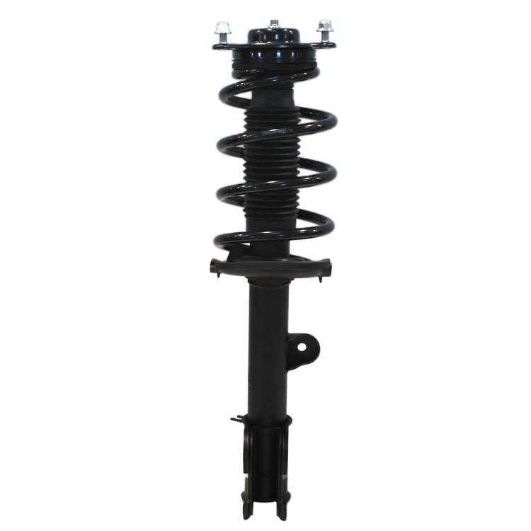 Strut Assembly
