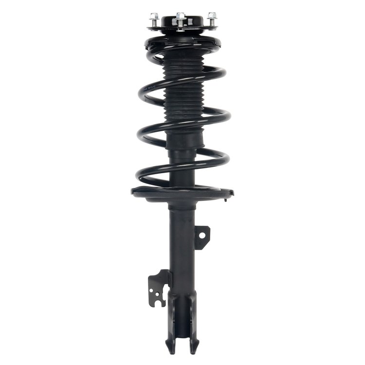 Strut Assembly