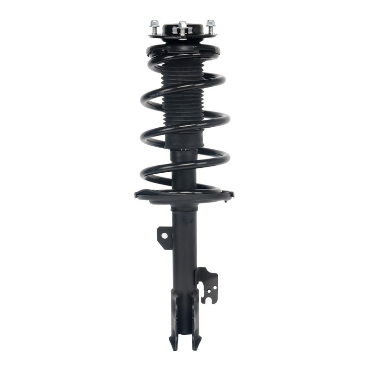 Strut Assembly