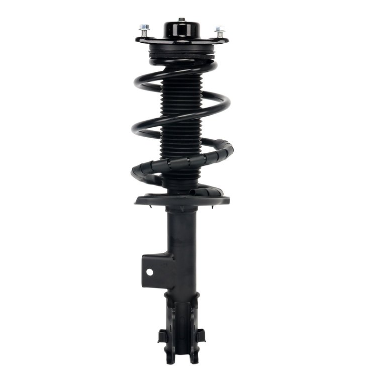 Strut Assembly