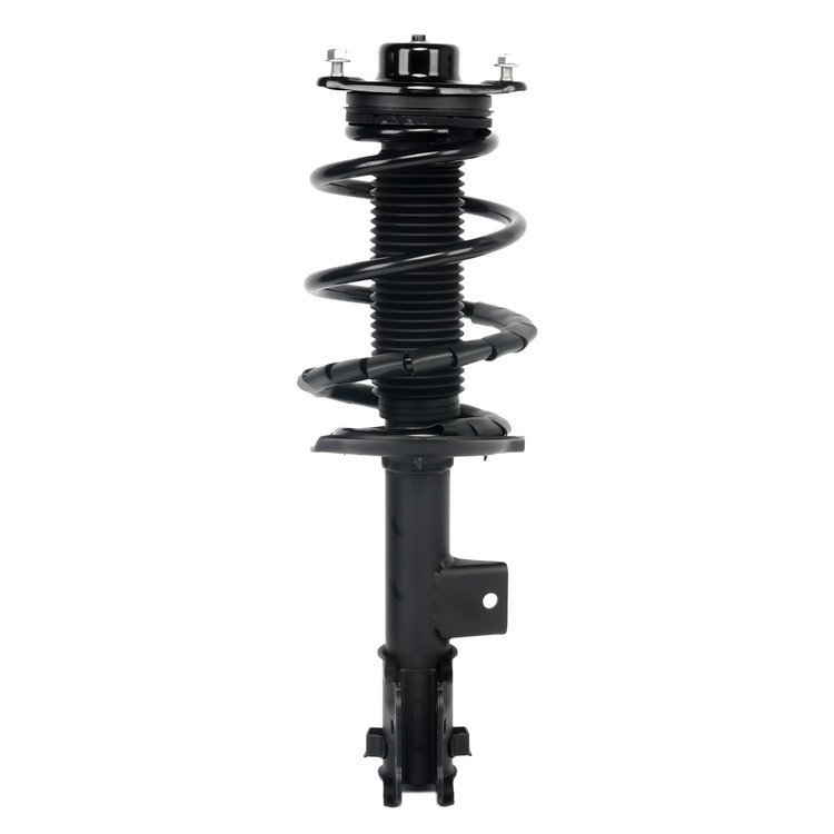 Strut Assembly