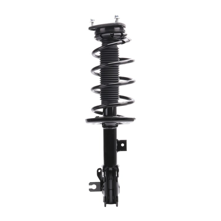 Strut Assembly