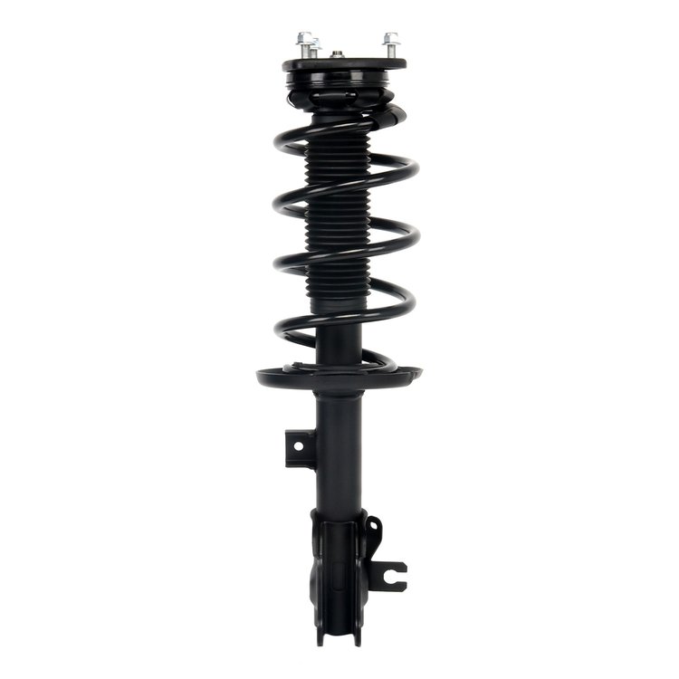 Strut Assembly