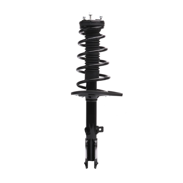 Strut Assembly