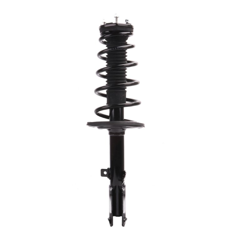 Strut Assembly