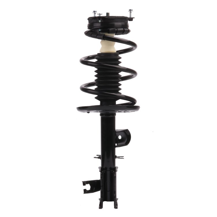 Strut Assembly