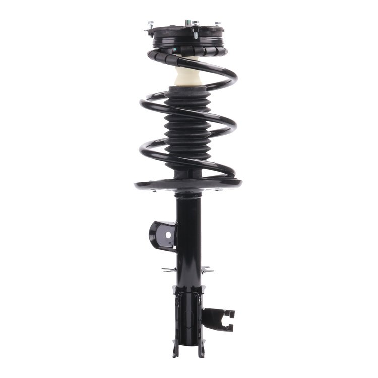 Strut Assembly