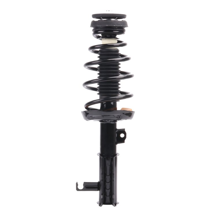 Strut Assembly