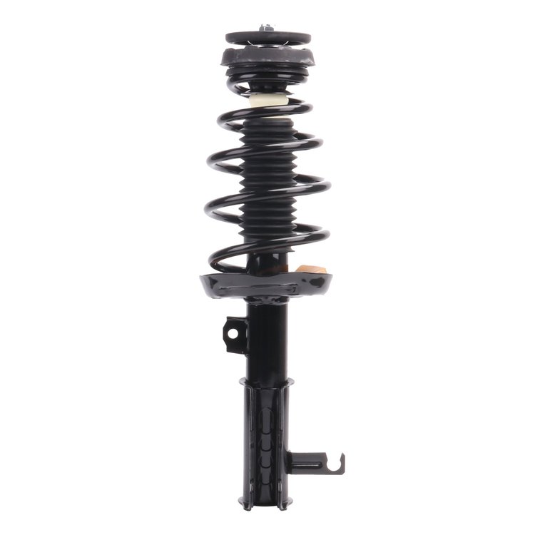 Strut Assembly