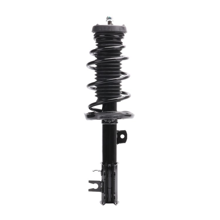 Strut Assembly