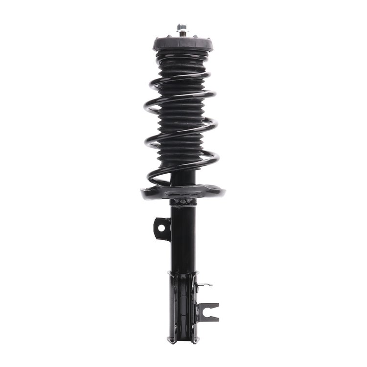 Strut Assembly