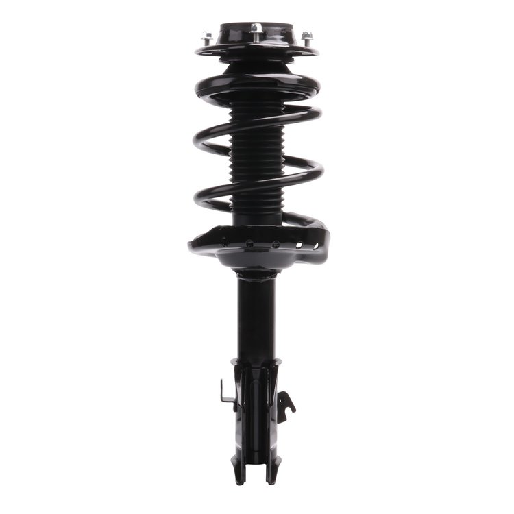 Strut Assembly