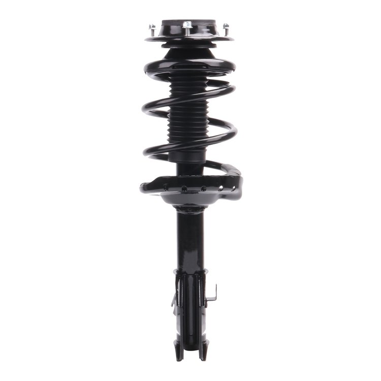 Strut Assembly