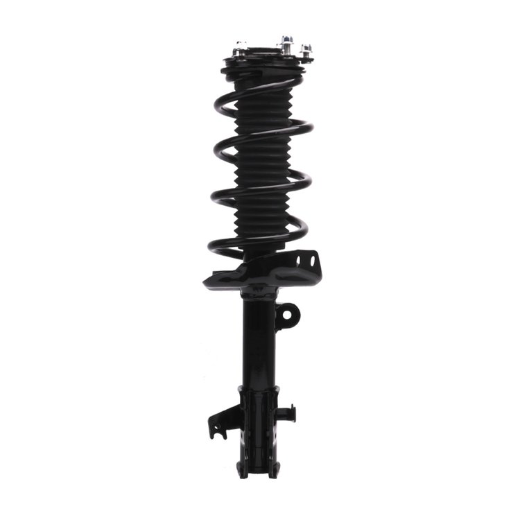 Strut Assembly