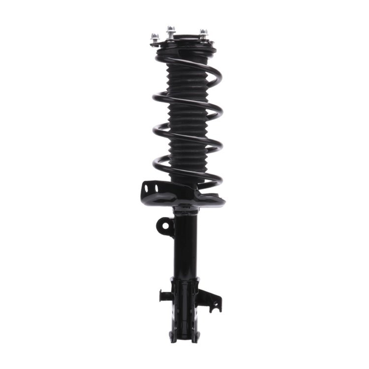 Strut Assembly
