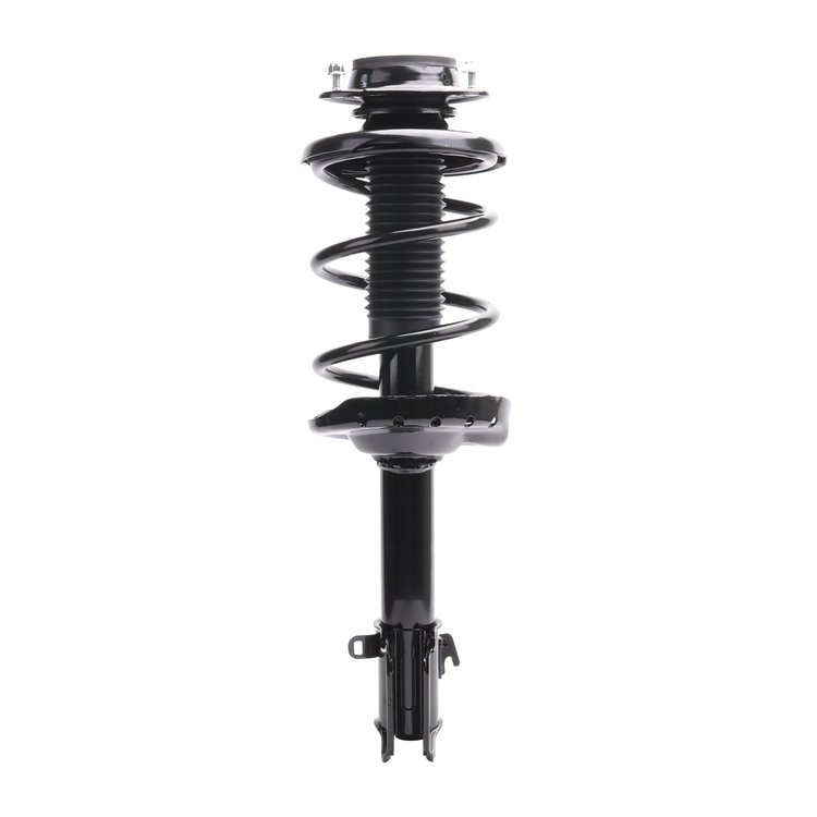 Strut Assembly