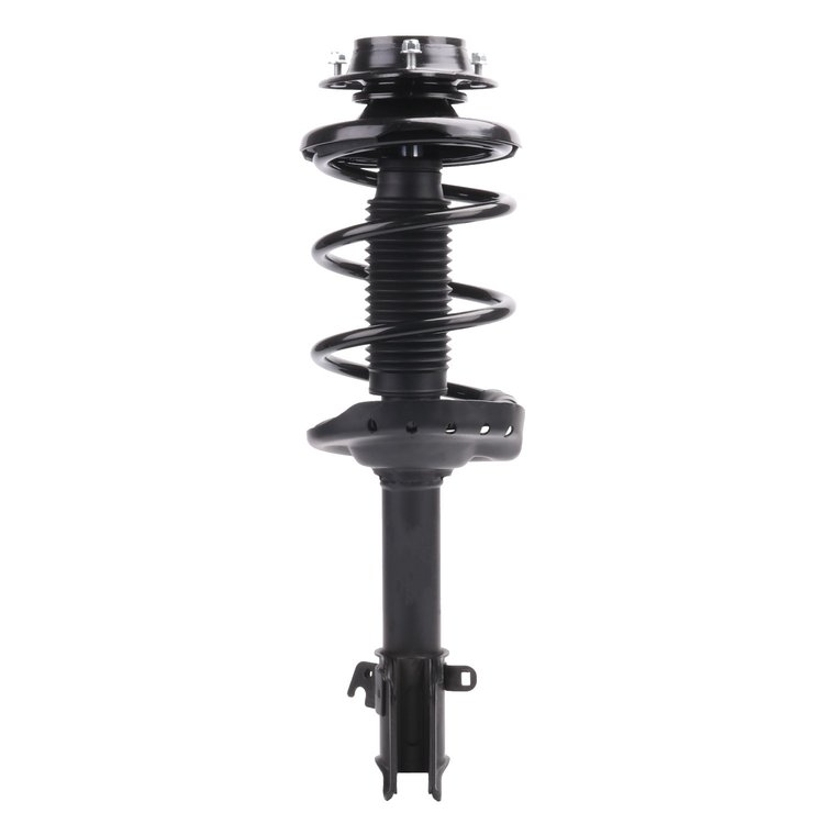 Strut Assembly