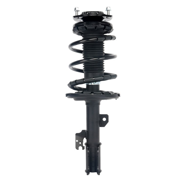 Strut Assembly