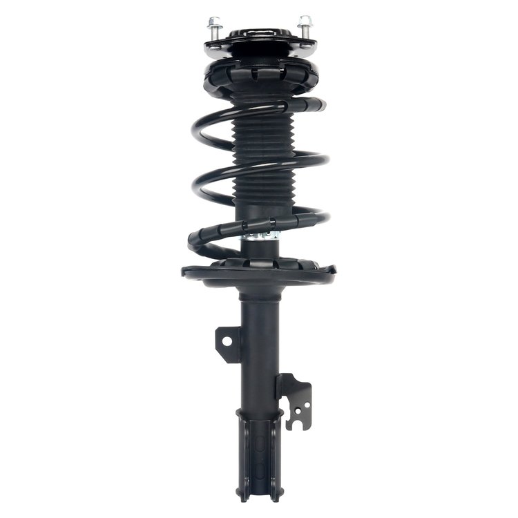 Strut Assembly