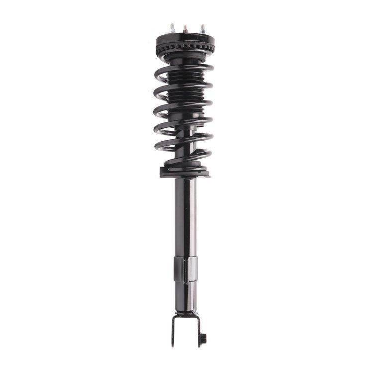 Strut Assembly