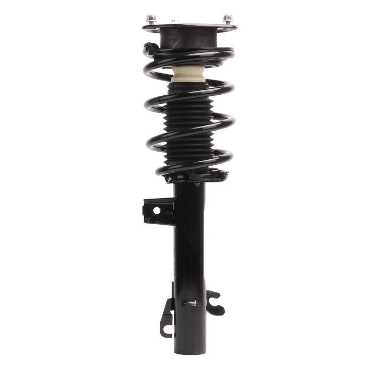 Strut Assembly