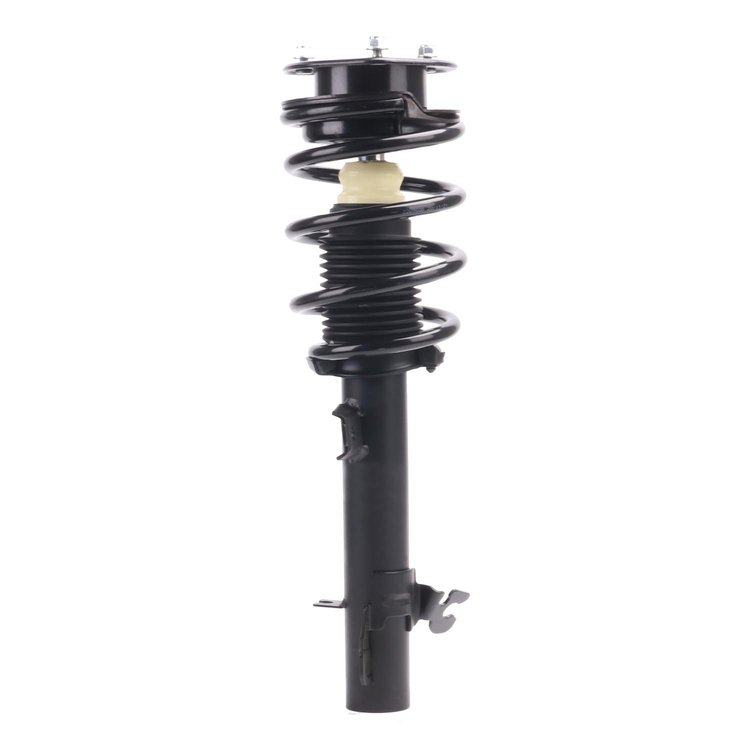 Strut Assembly