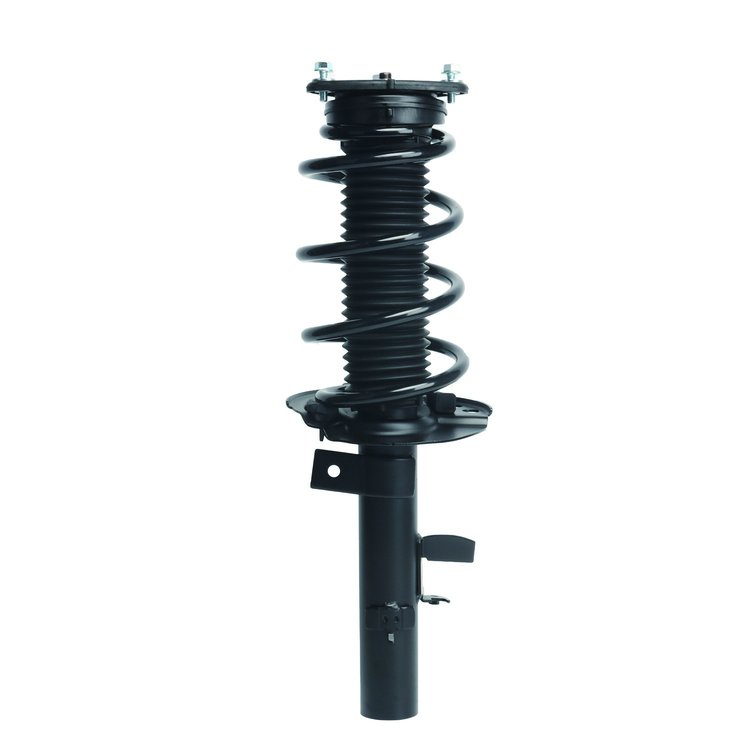 Strut Assembly