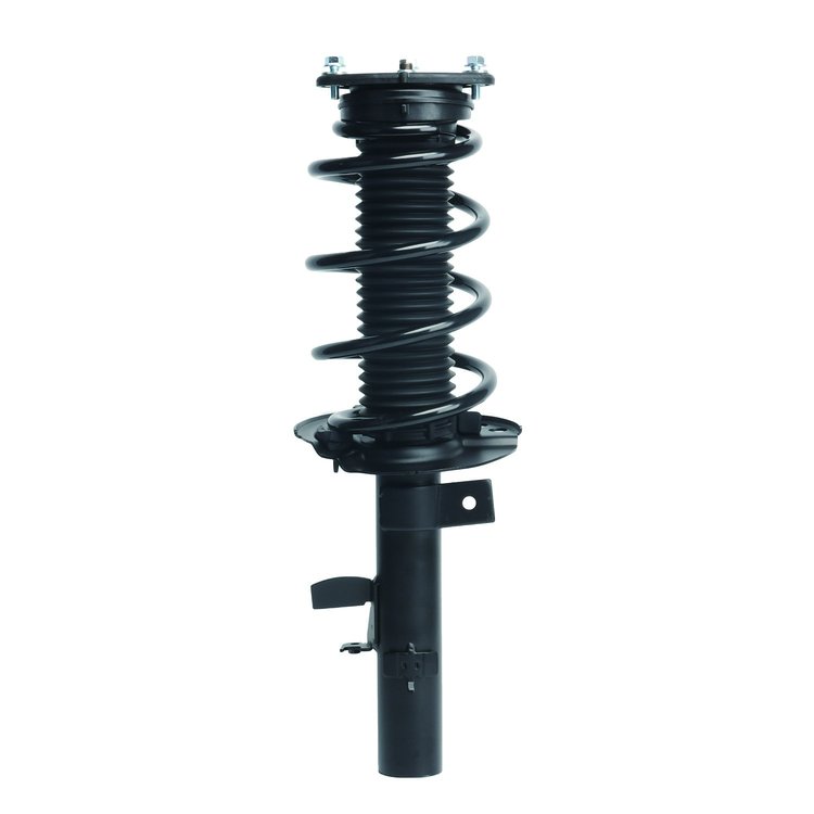 Strut Assembly