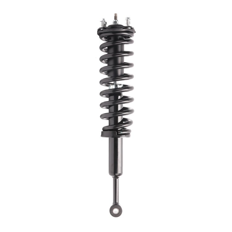 Strut Assembly