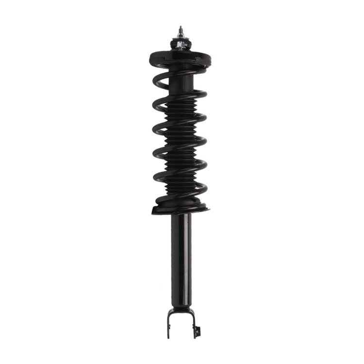 Strut Assembly