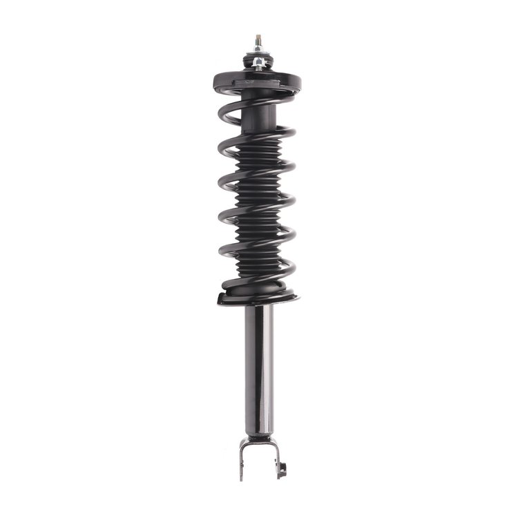 Strut Assembly