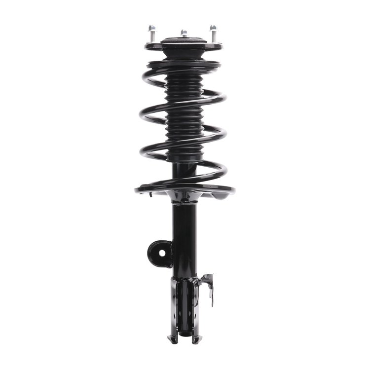 Strut Assembly