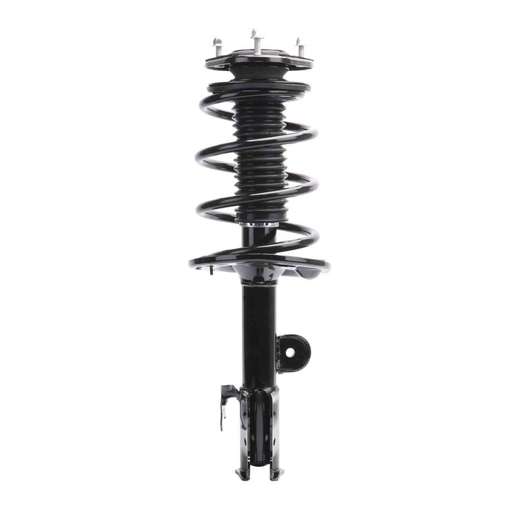 Strut Assembly
