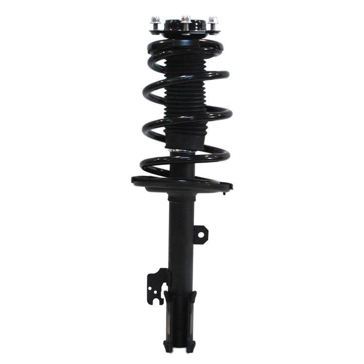 Strut Assembly