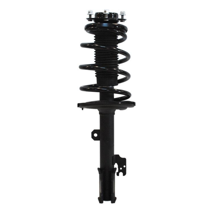 Strut Assembly