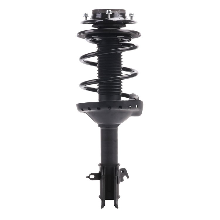 Strut Assembly
