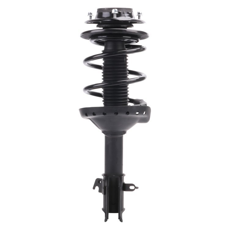 Strut Assembly