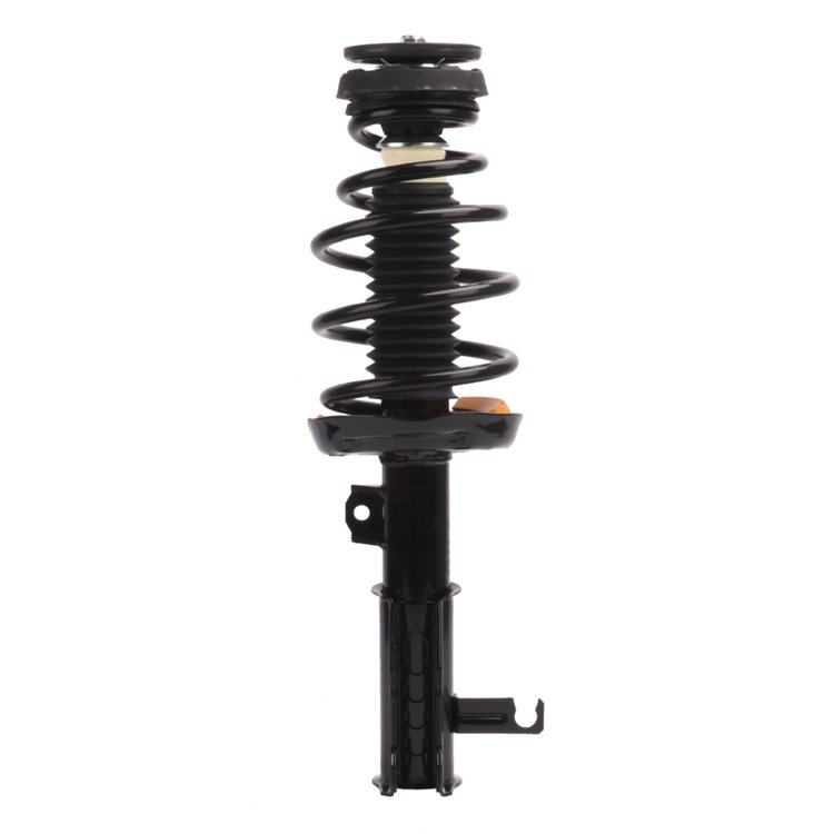 Strut Assembly
