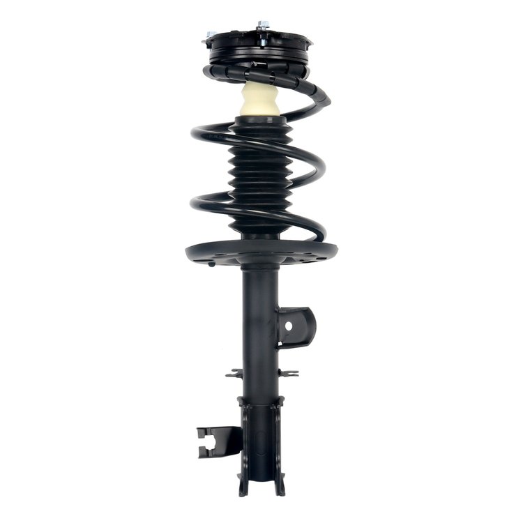 Strut Assembly