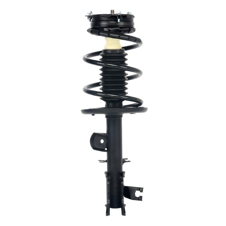 Strut Assembly