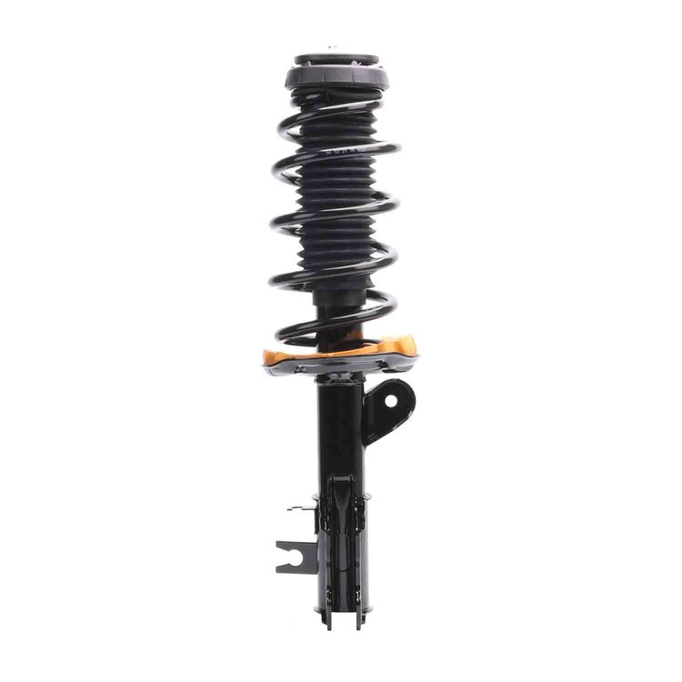Strut Assembly