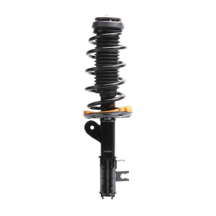 Strut Assembly
