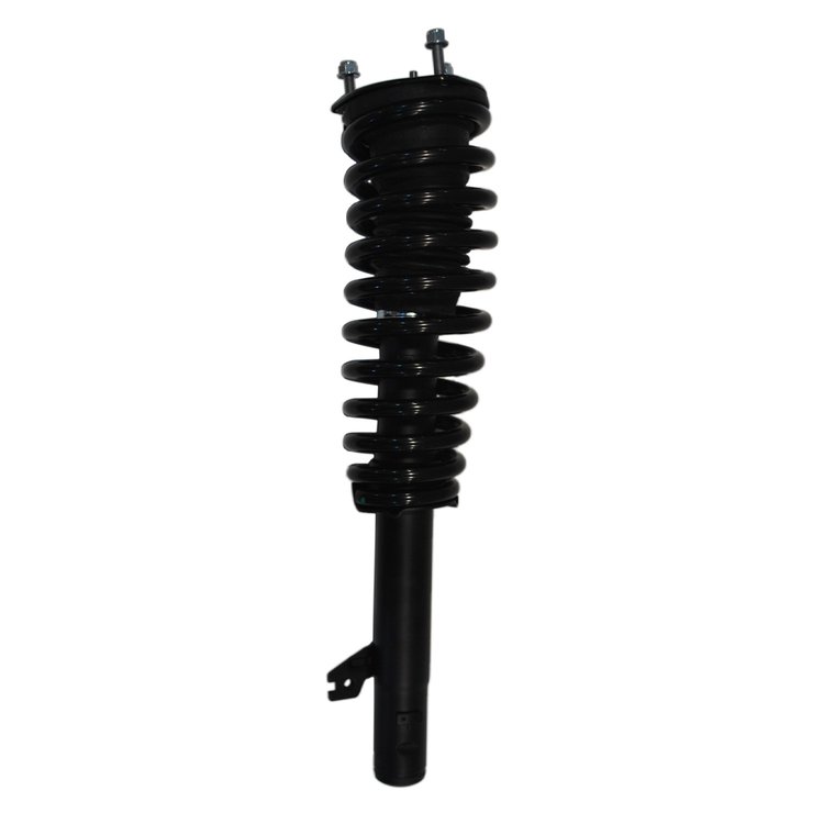 Strut Assembly