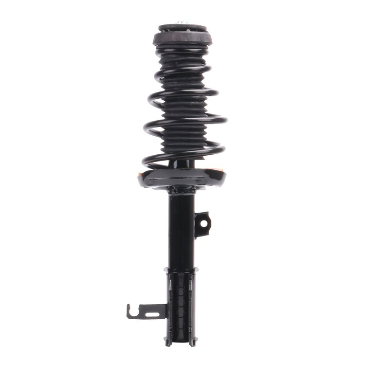 Strut Assembly