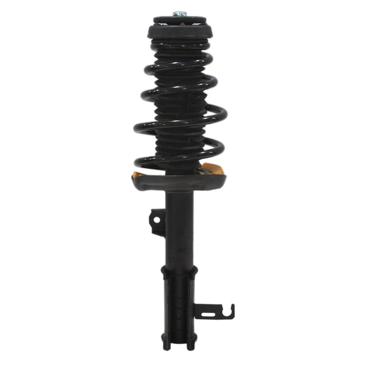 Strut Assembly