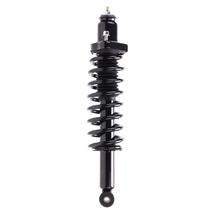 Strut Assembly