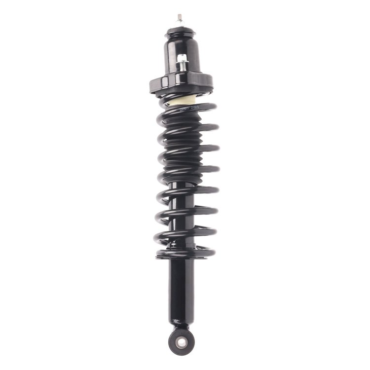 Strut Assembly