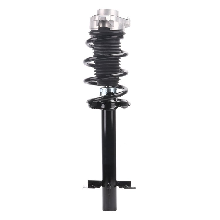 Strut Assembly