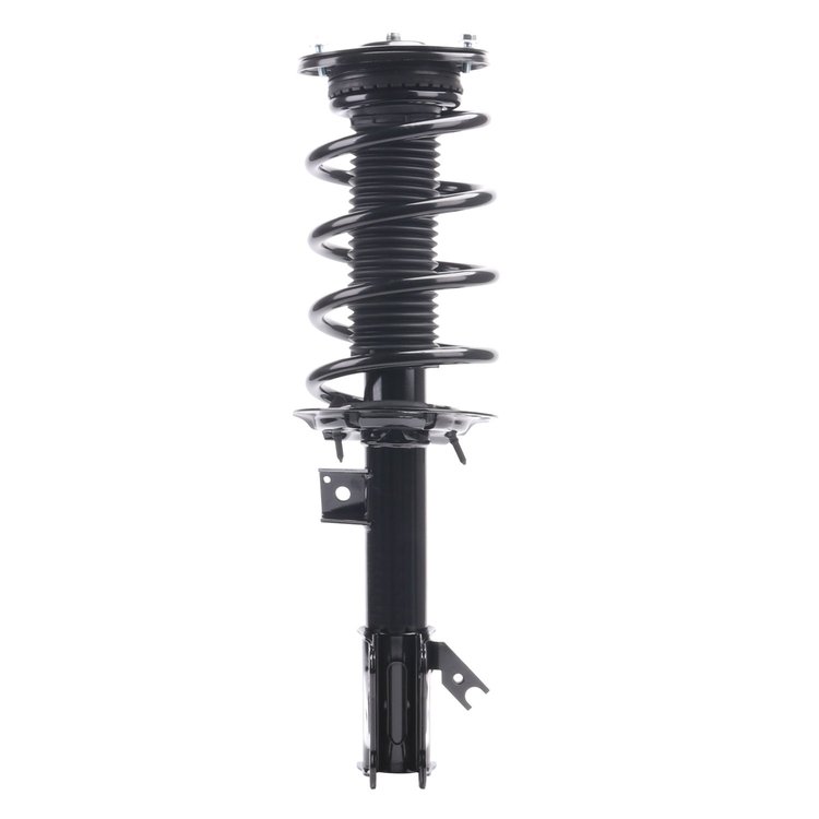 Strut Assembly